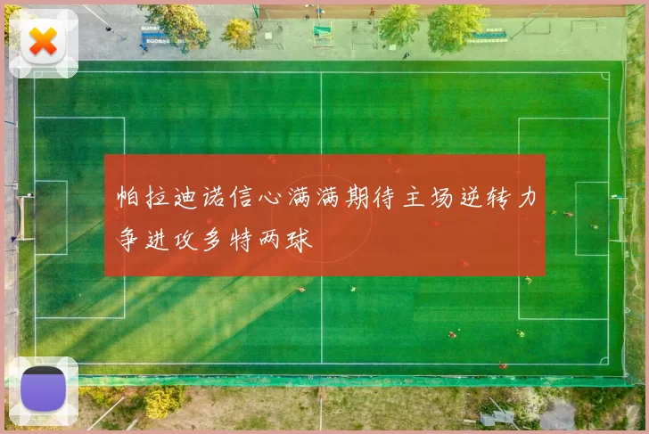 帕拉迪诺信心满满期待主场逆转力争进攻多特两球